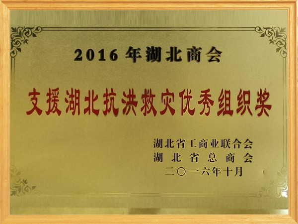 2016年支援湖北抗洪救灾优秀组织奖